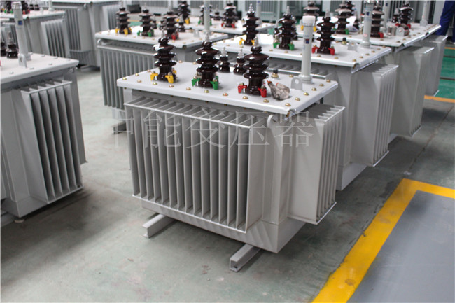 镇江S22-250KVA/10KV变压器